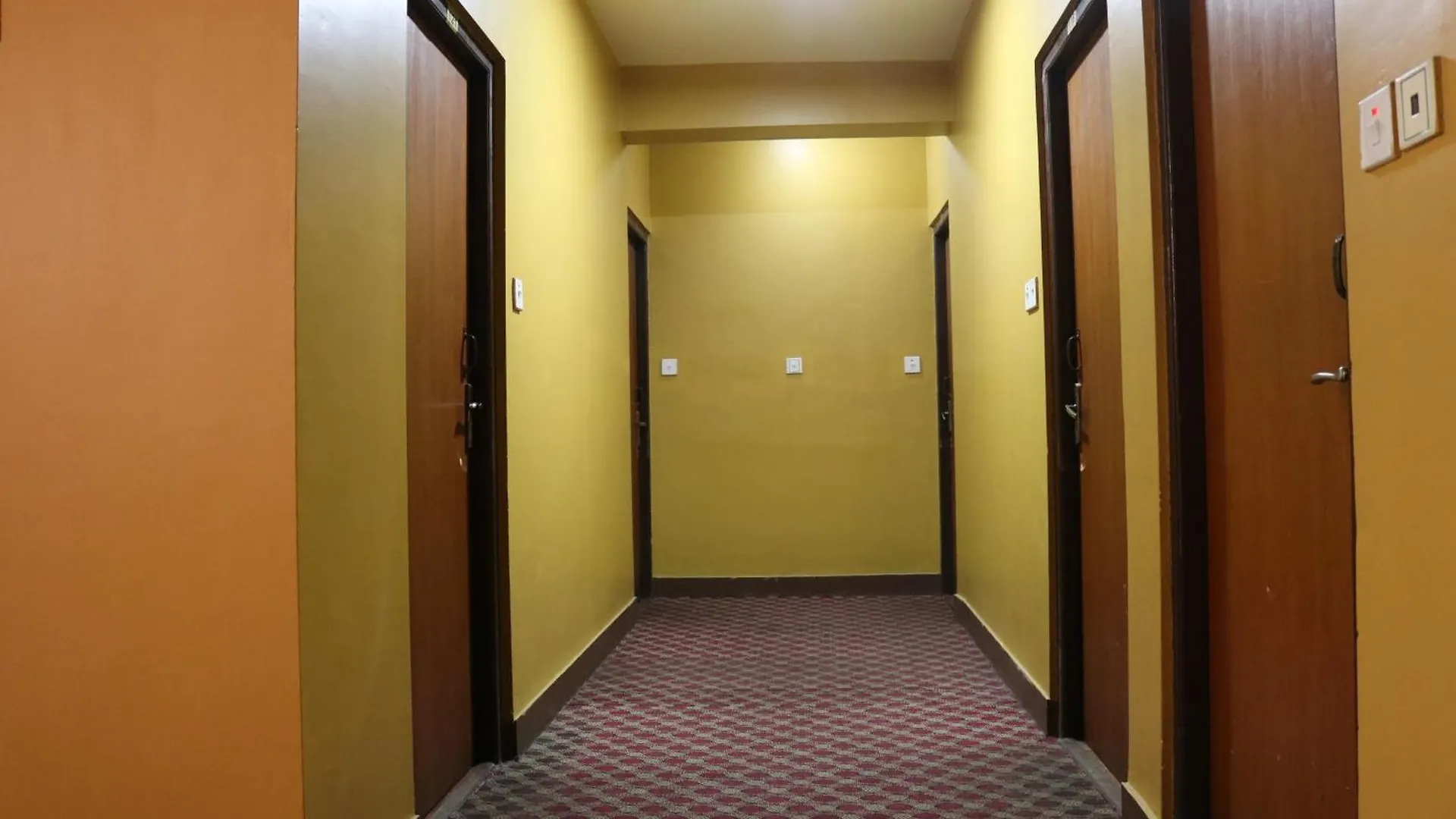 Hotel Pashupati Plaza 加德满都